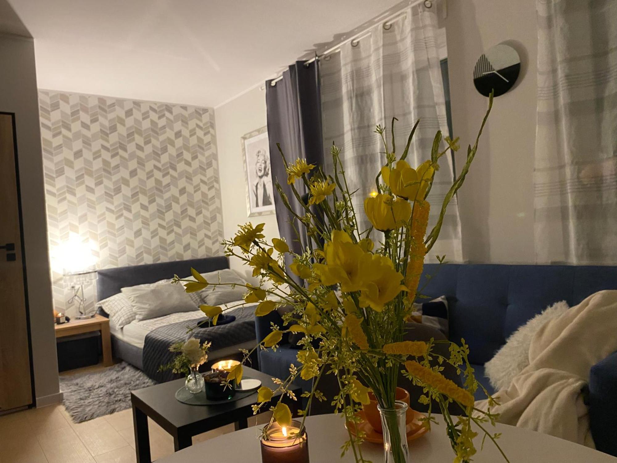 Apartment Browarna Tanie Spanie *
